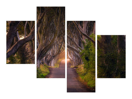 canvas-print-the-glowing-hedges