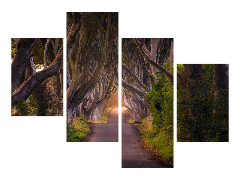 modern-3-piece-canvas-print-the-glowing-hedges