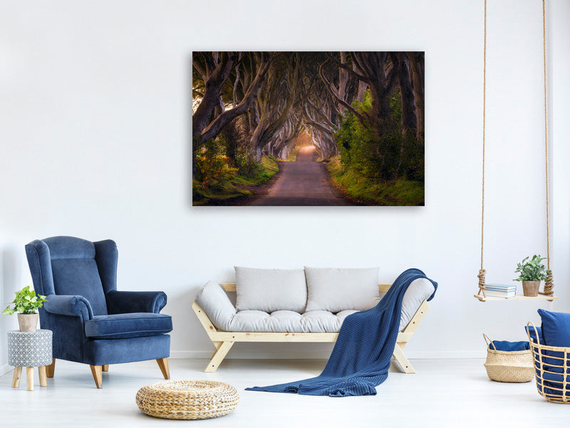 modern-4-piece-canvas-print-the-glowing-hedges