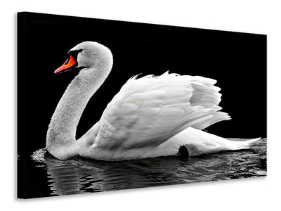 3-piece-canvas-print-the-graceful-swan