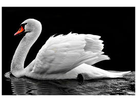 3-piece-canvas-print-the-graceful-swan