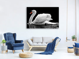 3-piece-canvas-print-the-graceful-swan