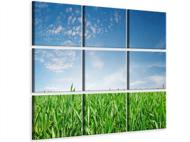 canvas-print-the-grass