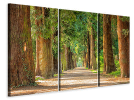 4-piece-canvas-print-the-green-avenue
