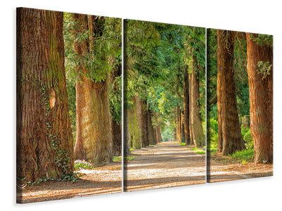 4-piece-canvas-print-the-green-avenue