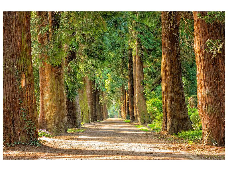 3-piece-canvas-print-the-green-avenue