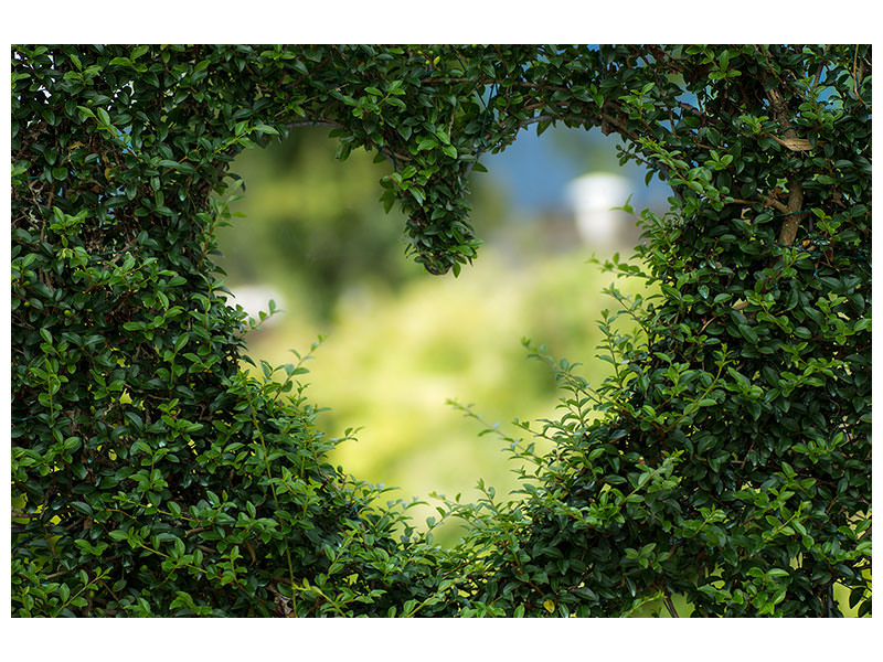 5-piece-canvas-print-the-heart-in-the-hedge