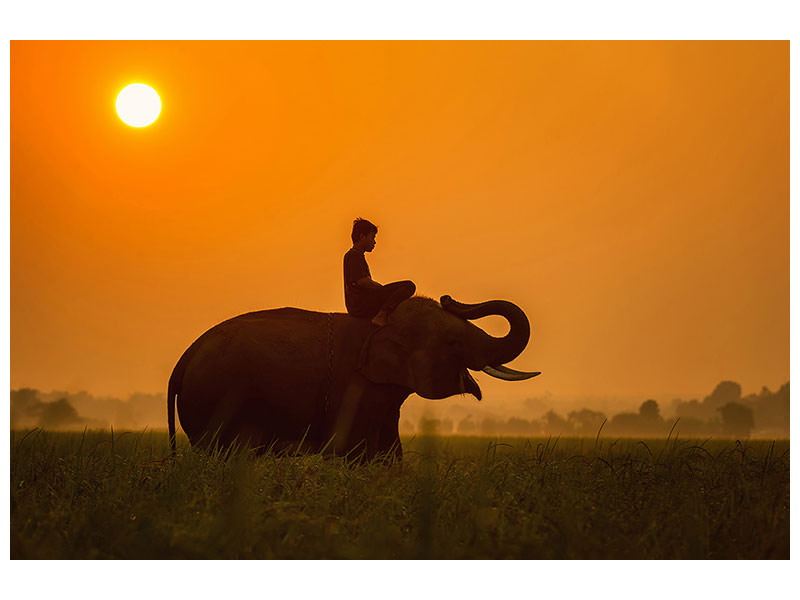 3-piece-canvas-print-the-holy-elephant