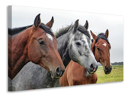 3-piece-canvas-print-the-horse-trio