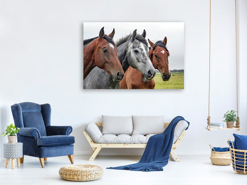 3-piece-canvas-print-the-horse-trio