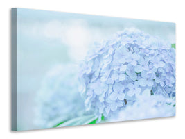 panoramic-3-piece-canvas-print-the-hydrangea