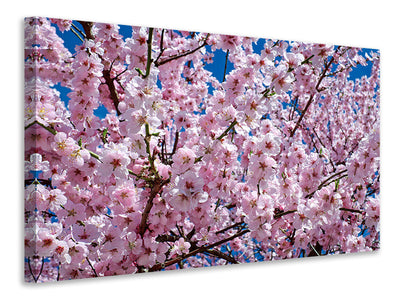 3-piece-canvas-print-the-japanese-cherry