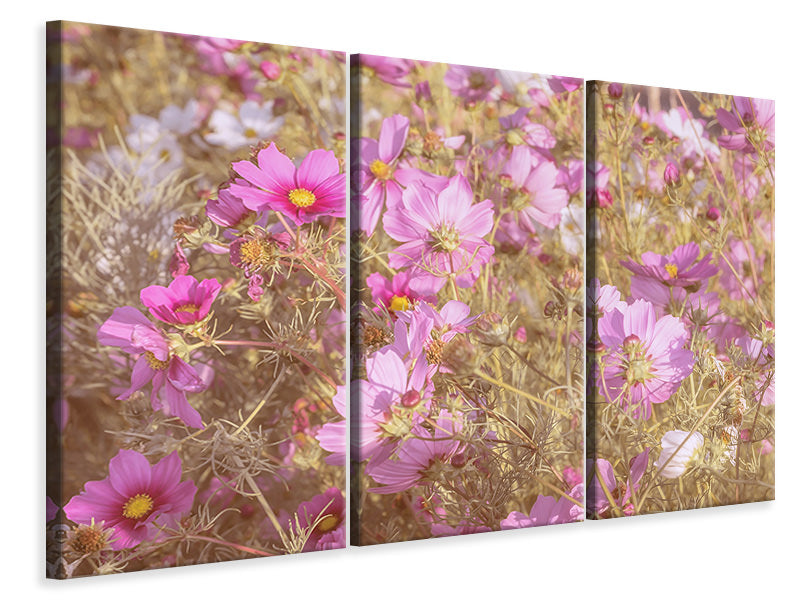 5-piece-canvas-print-the-jewelry-basket-cosmea