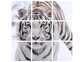 4-piece-canvas-print-the-king-tiger
