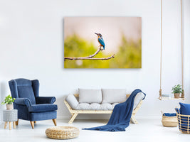 panoramic-canvas-print-the-kingfisher