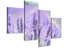4-piece-canvas-print-the-lavender-blossom