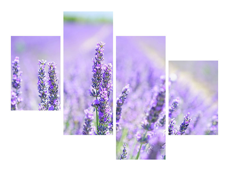 4-piece-canvas-print-the-lavender-blossom