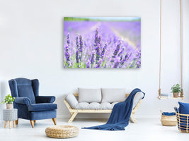 4-piece-canvas-print-the-lavender-blossom