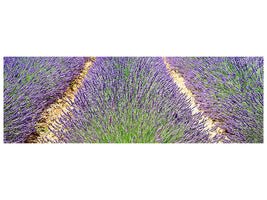 panoramic-3-piece-canvas-print-the-lavender-field
