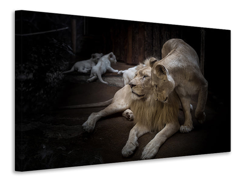 3-piece-canvas-print-the-lion-couple