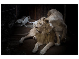 3-piece-canvas-print-the-lion-couple