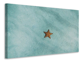 panoramic-3-piece-canvas-print-the-little-starfish