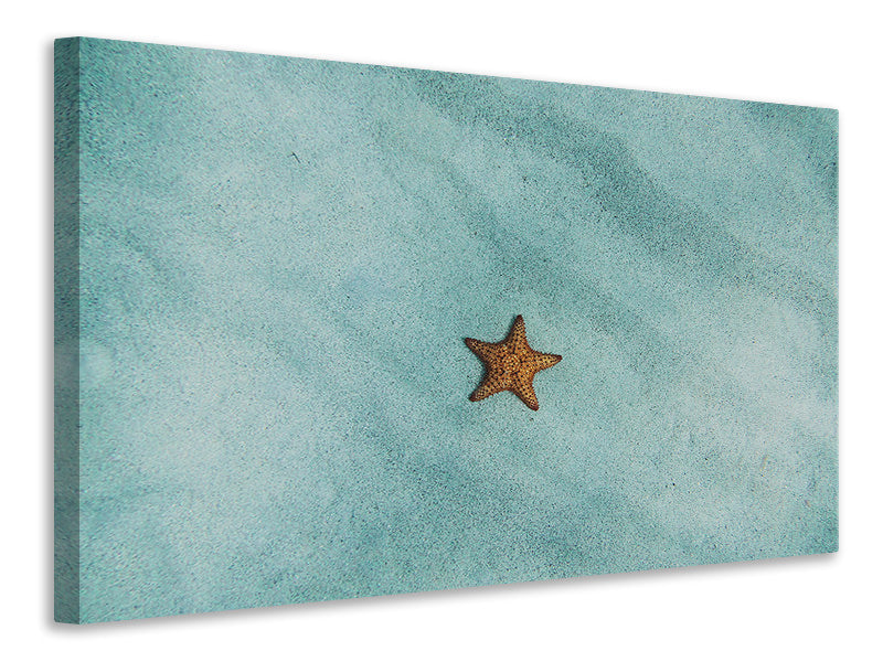 3-piece-canvas-print-the-little-starfish