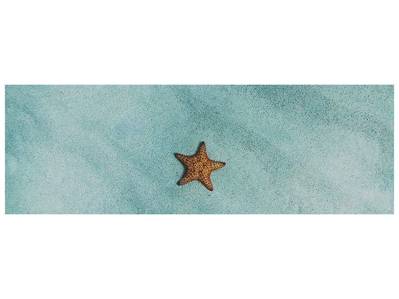 3-piece-canvas-print-the-little-starfish