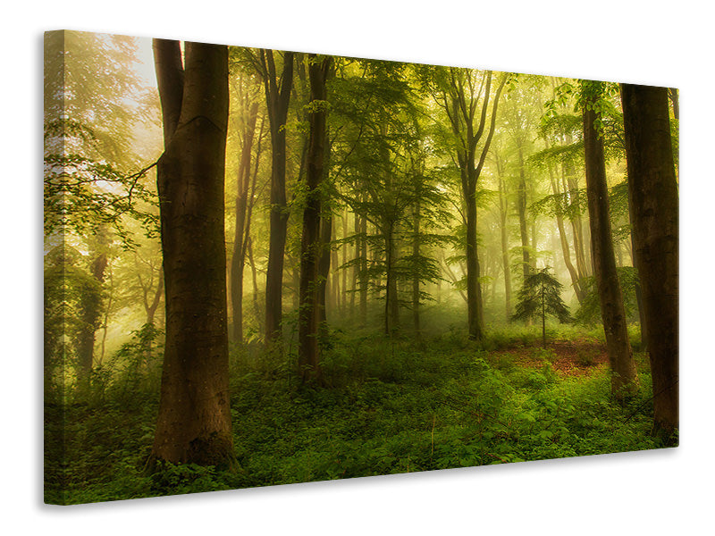 modern-3-piece-canvas-print-the-little-tree
