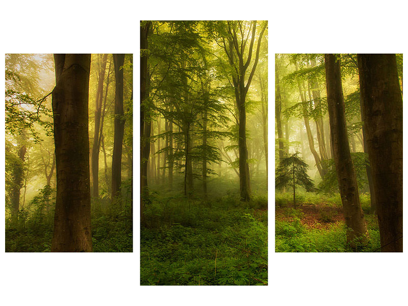 5-piece-canvas-print-the-little-tree