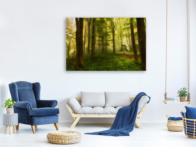 5-piece-canvas-print-the-little-tree