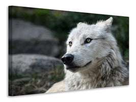 3-piece-canvas-print-the-lonely-wolf