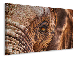 panoramic-3-piece-canvas-print-the-look-of-the-elephant