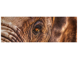 3-piece-canvas-print-the-look-of-the-elephant