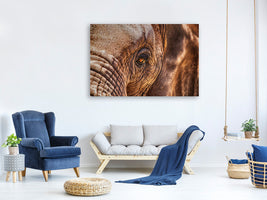 3-piece-canvas-print-the-look-of-the-elephant