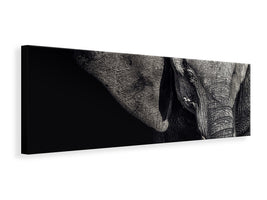 canvas-print-the-matriarch
