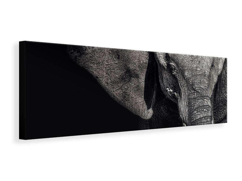 3-piece-canvas-print-the-matriarch