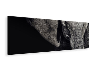 3-piece-canvas-print-the-matriarch