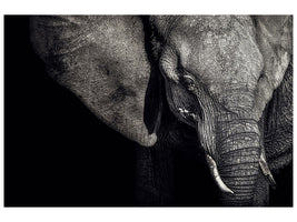 3-piece-canvas-print-the-matriarch