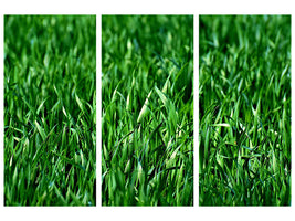 modern-3-piece-canvas-print-the-meadow-in-xl