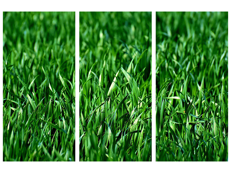 modern-3-piece-canvas-print-the-meadow-in-xl