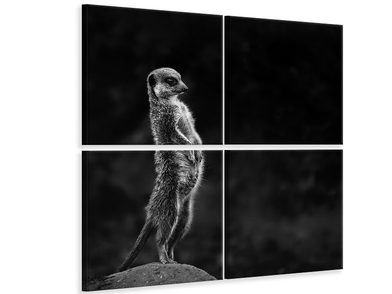 9-piece-canvas-print-the-meerkat