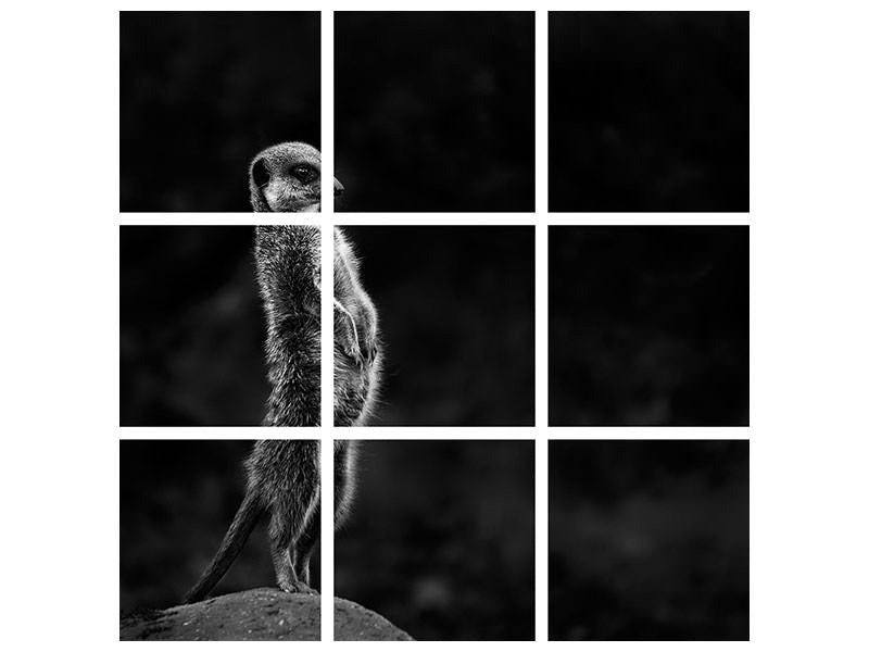 4-piece-canvas-print-the-meerkat