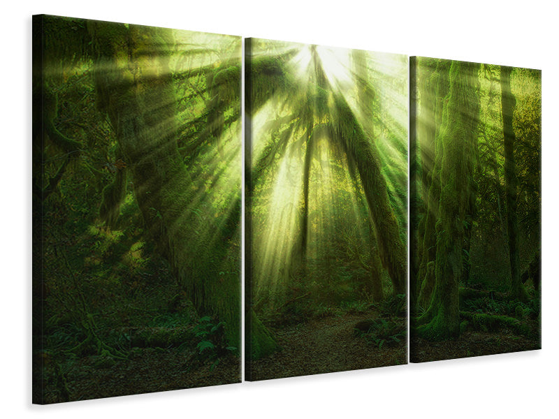 panoramic-3-piece-canvas-print-the-miracle