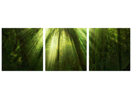 5-piece-canvas-print-the-miracle