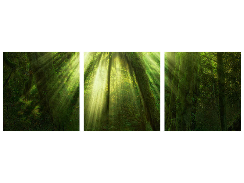 modern-3-piece-canvas-print-the-miracle