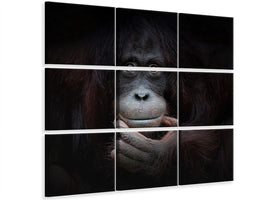 canvas-print-the-mirror-image