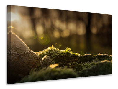 3-piece-canvas-print-the-moss