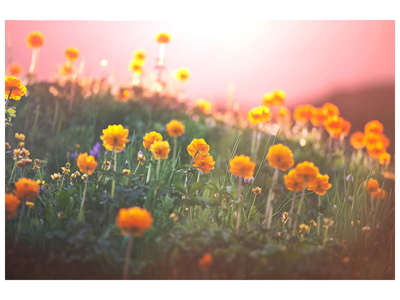 modern-3-piece-canvas-print-the-mountain-meadow