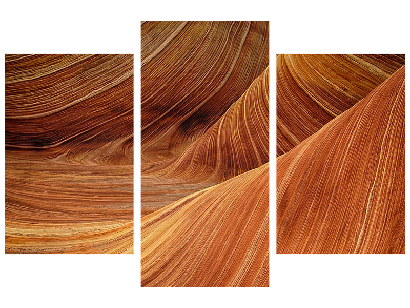panoramic-3-piece-canvas-print-the-movement